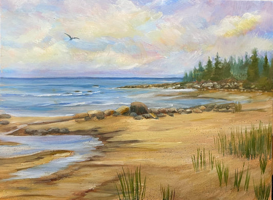 Lake Huron Beach