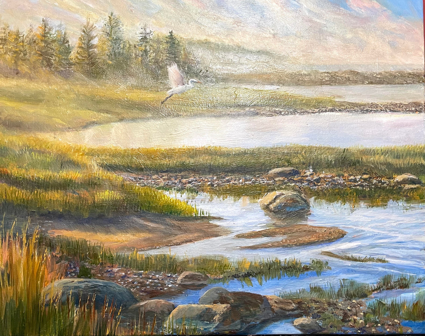 Misty Marsh