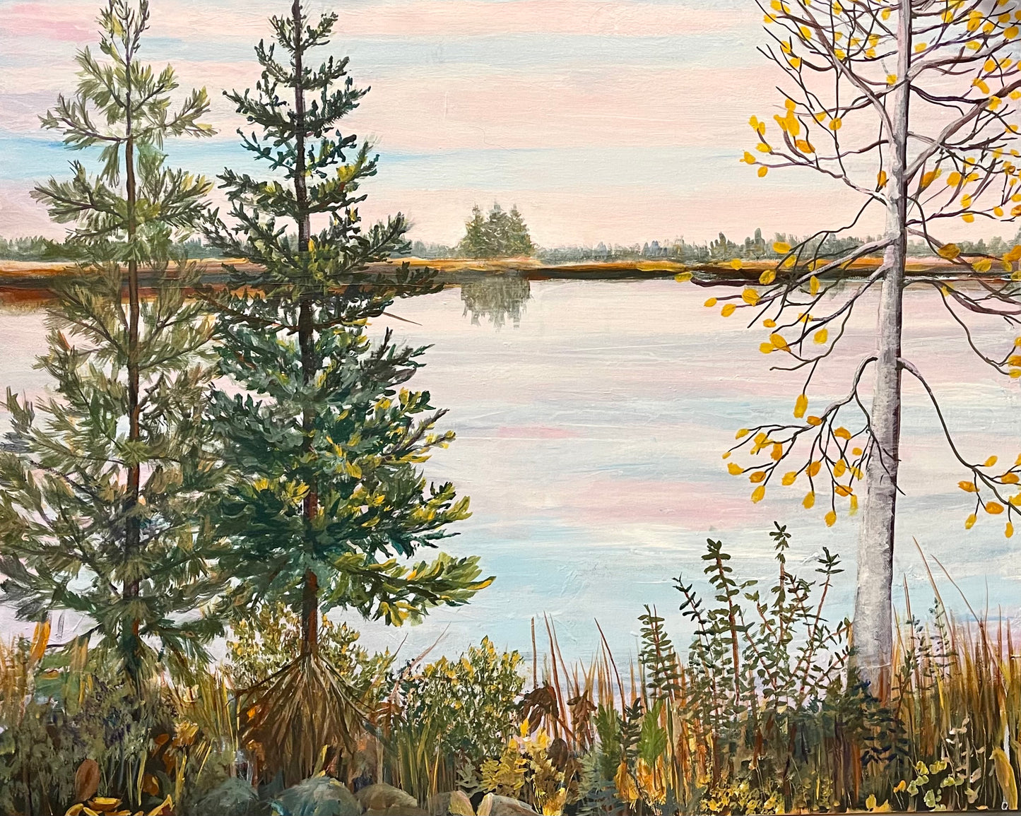 Trees on El Cajon Bay, Fall