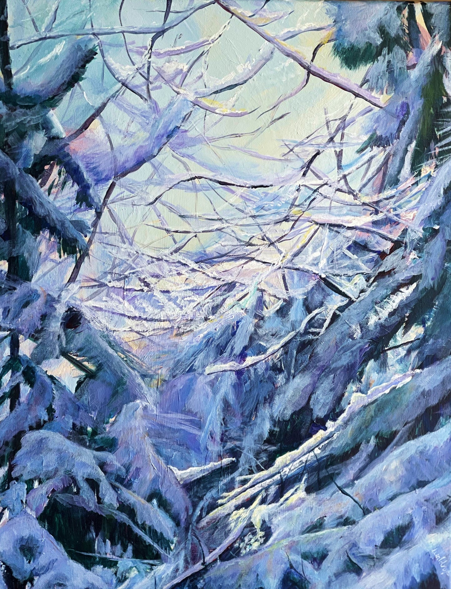 Snowlight in the Pines